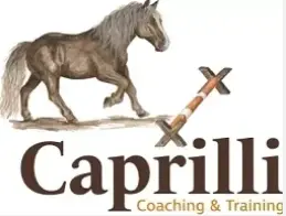 Caprilli Coaching &amp; Trainingen Barneveld 